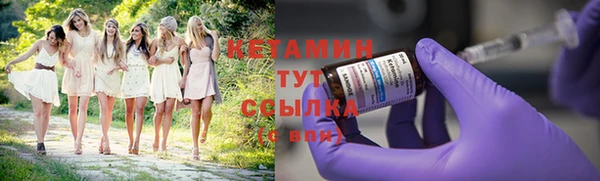 прущие грибы Балабаново