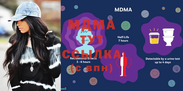 прущие грибы Балабаново