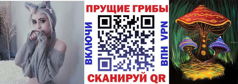 Галлюциногенные грибы GOLDEN TEACHER Теберда